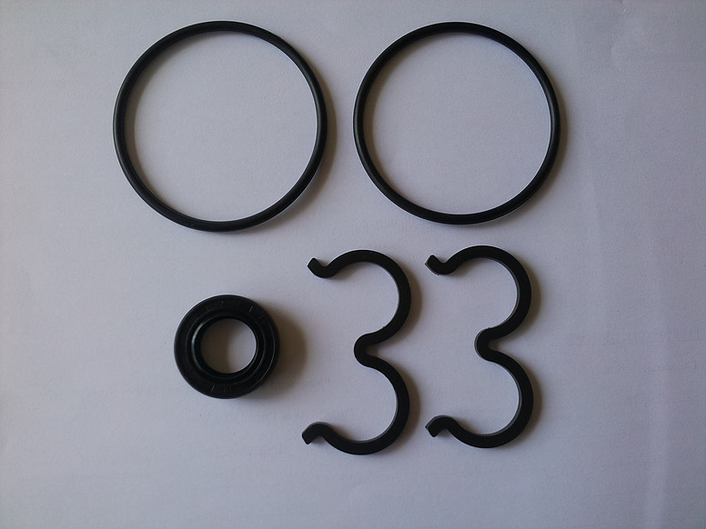 Gear Pump Seal Kit