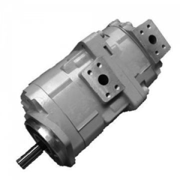 Hydraulic Pump