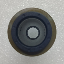 seal_2
